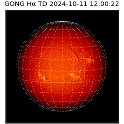 gong - 2024-10-11T12:00:22