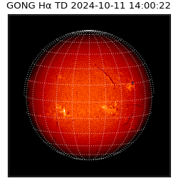 gong - 2024-10-11T14:00:22