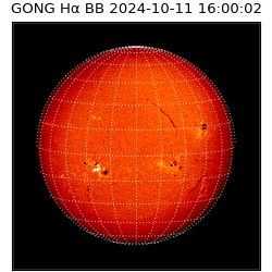 gong - 2024-10-11T16:00:02