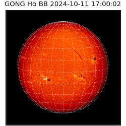 gong - 2024-10-11T17:00:02