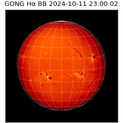 gong - 2024-10-11T23:00:02