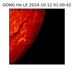 gong - 2024-10-12T01:00:42