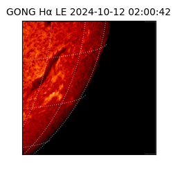 gong - 2024-10-12T02:00:42