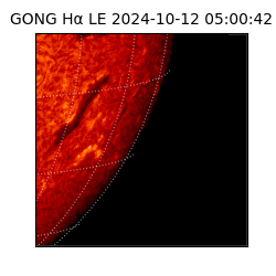 gong - 2024-10-12T05:00:42