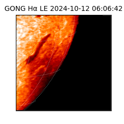 gong - 2024-10-12T06:06:42