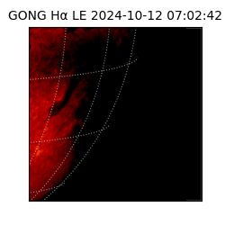 gong - 2024-10-12T07:02:42