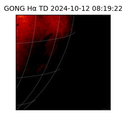 gong - 2024-10-12T08:19:22