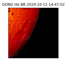 gong - 2024-10-12T14:47:02