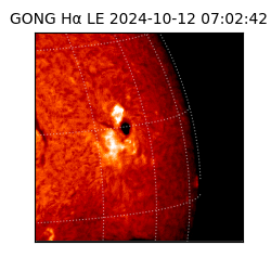 gong - 2024-10-12T07:02:42