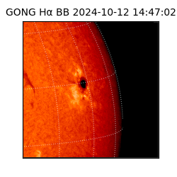 gong - 2024-10-12T14:47:02