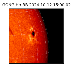 gong - 2024-10-12T15:00:02