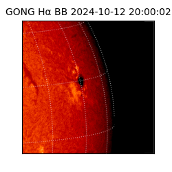 gong - 2024-10-12T20:00:02