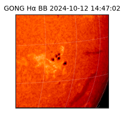 gong - 2024-10-12T14:47:02