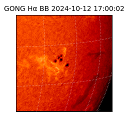 gong - 2024-10-12T17:00:02