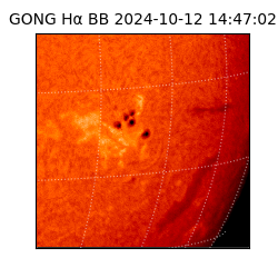 gong - 2024-10-12T14:47:02