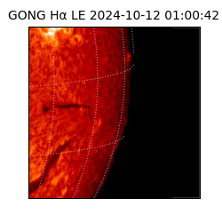 gong - 2024-10-12T01:00:42