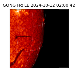 gong - 2024-10-12T02:00:42