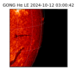 gong - 2024-10-12T03:00:42