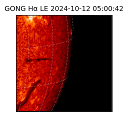 gong - 2024-10-12T05:00:42