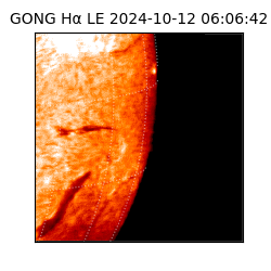 gong - 2024-10-12T06:06:42