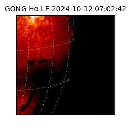 gong - 2024-10-12T07:02:42