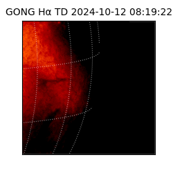 gong - 2024-10-12T08:19:22