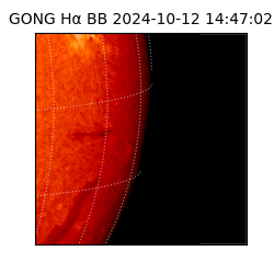 gong - 2024-10-12T14:47:02