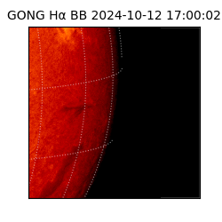 gong - 2024-10-12T17:00:02