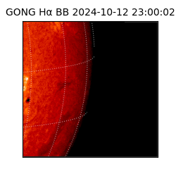 gong - 2024-10-12T23:00:02