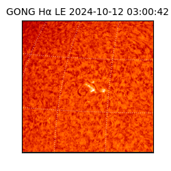 gong - 2024-10-12T03:00:42