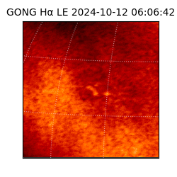 gong - 2024-10-12T06:06:42