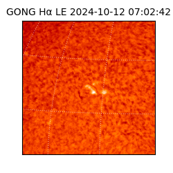 gong - 2024-10-12T07:02:42