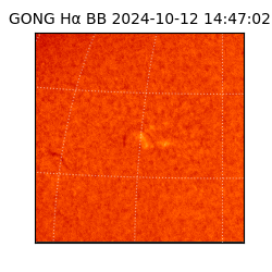 gong - 2024-10-12T14:47:02