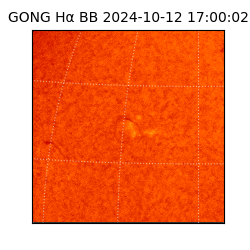 gong - 2024-10-12T17:00:02