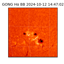 gong - 2024-10-12T14:47:02