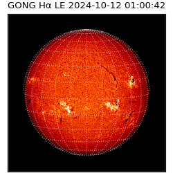 gong - 2024-10-12T01:00:42