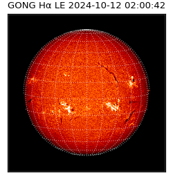 gong - 2024-10-12T02:00:42