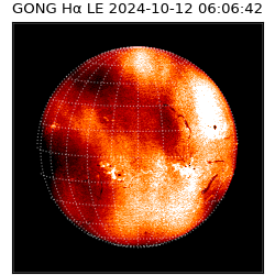 gong - 2024-10-12T06:06:42