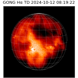 gong - 2024-10-12T08:19:22