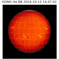 gong - 2024-10-12T14:47:02