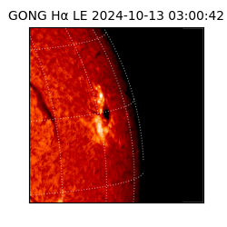 gong - 2024-10-13T03:00:42