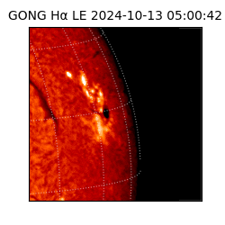 gong - 2024-10-13T05:00:42