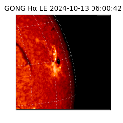 gong - 2024-10-13T06:00:42