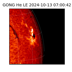 gong - 2024-10-13T07:00:42