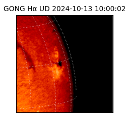 gong - 2024-10-13T10:00:02