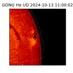 gong - 2024-10-13T11:00:02