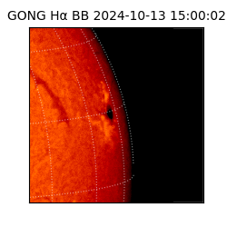 gong - 2024-10-13T15:00:02