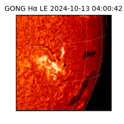 gong - 2024-10-13T04:00:42