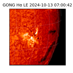 gong - 2024-10-13T07:00:42