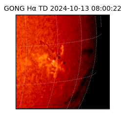 gong - 2024-10-13T08:00:22